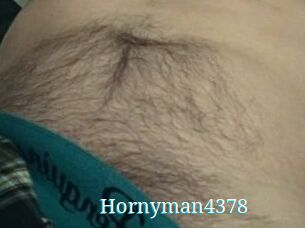 Hornyman4378