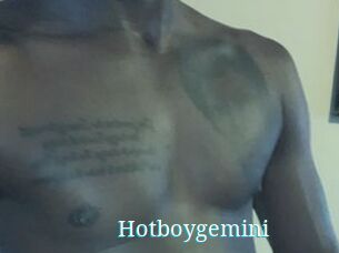 Hotboygemini