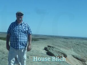 House_Bitch