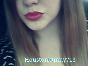 Houstonbunny713