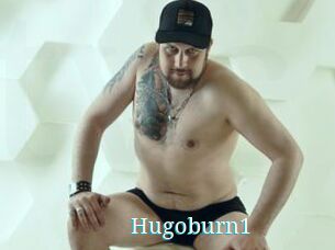 Hugoburn1