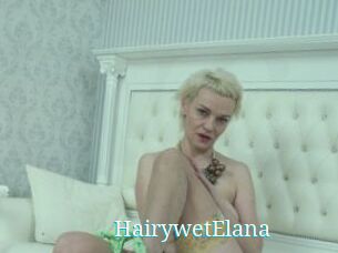 HairywetElana