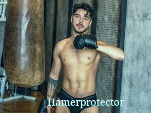 Hamerprotector
