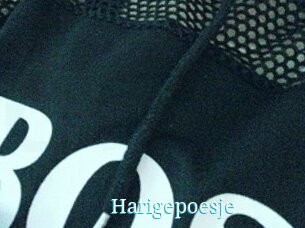 Harigepoesje