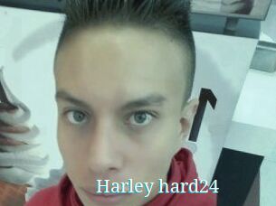 Harley_hard24
