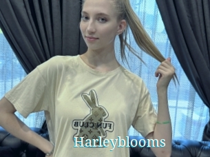 Harleyblooms