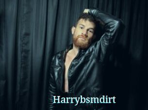 Harrybsmdirt