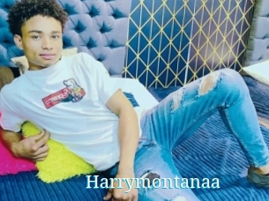 Harrymontanaa