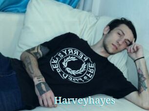 Harveyhayes