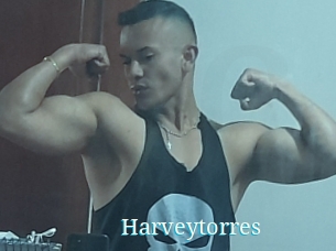 Harveytorres