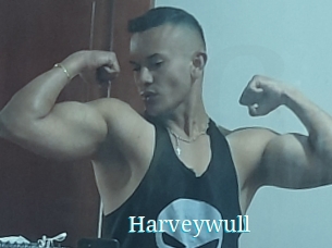 Harveywull