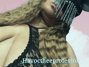 Havoctheeprofessor