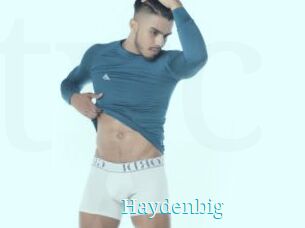 Haydenbig