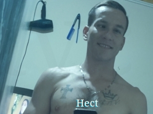 Hect