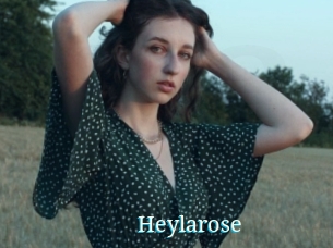 Heylarose
