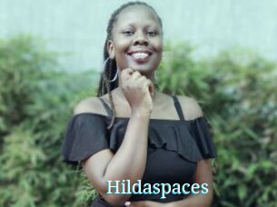 Hildaspaces