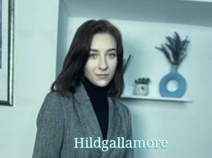 Hildgallamore