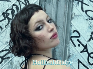 Hollisaldridge
