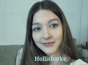 Hollisbarks