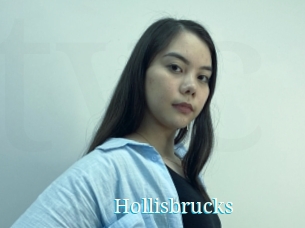 Hollisbrucks