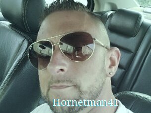 Hornetman41