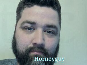 Horneyguy