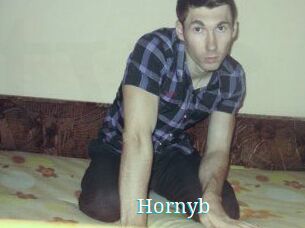 Hornyb
