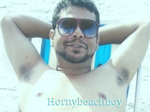 Hornybeachboy