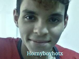 Hornyboyhotx
