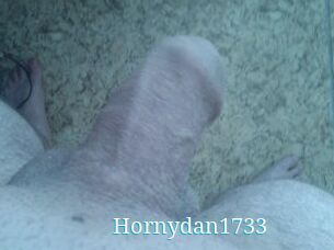 Hornydan1733