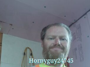 Hornyguy24745