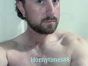 Hornytimes88