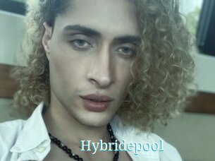 Hybridepool