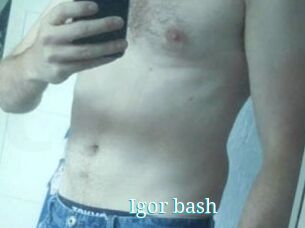 Igor_bash