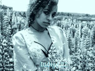 Indigo_22
