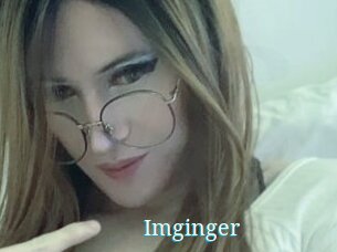 Imginger