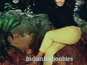 Indianbigboobies