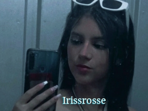Irissrosse
