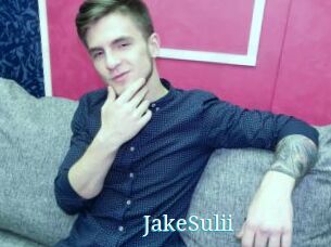 JakeSulii