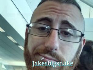 Jakesbigsnake