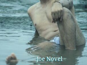 Joe_Novel