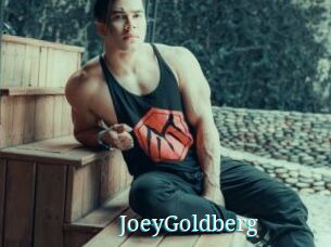 JoeyGoldberg