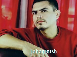 JohanBush