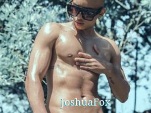 JoshuaFox