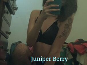 Juniper_Berry