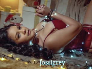 jossigrey The voyeurs club