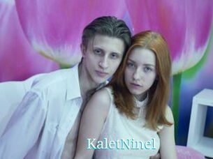KaletNinel