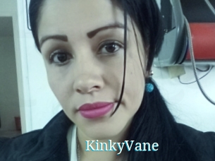 KinkyVane