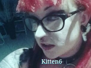 Kitten6