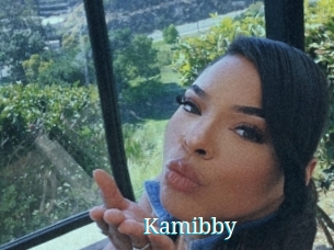 Kamibby